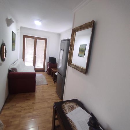 Apartment Mixa Belgrade Extérieur photo