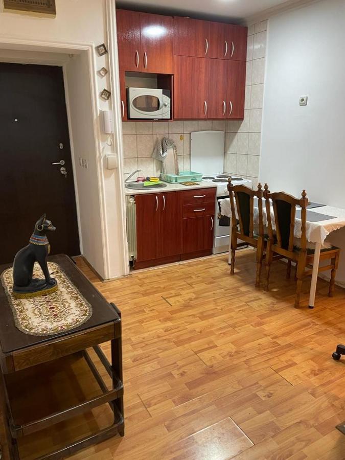 Apartment Mixa Belgrade Extérieur photo