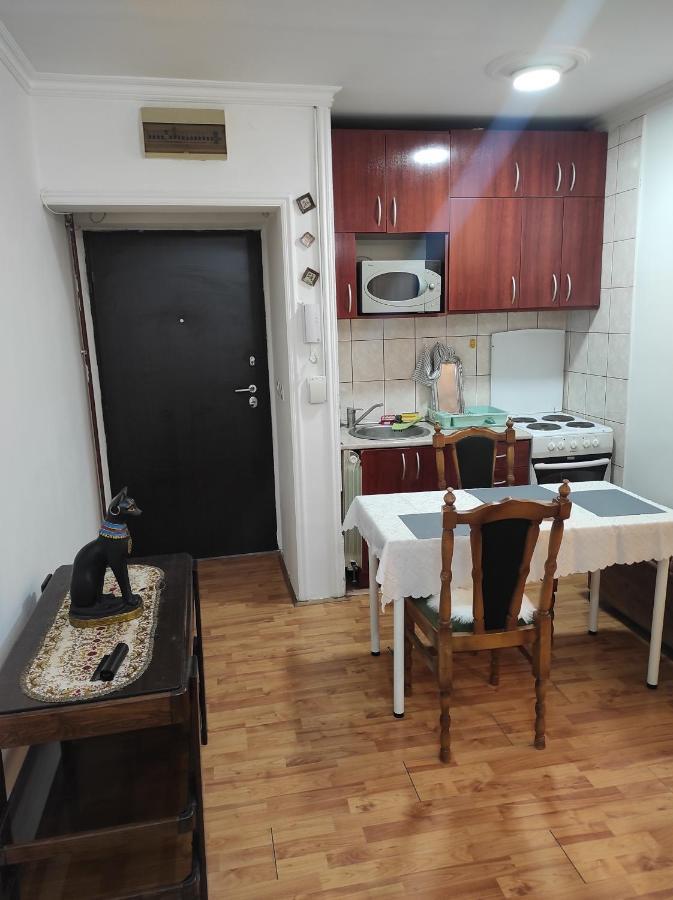 Apartment Mixa Belgrade Extérieur photo